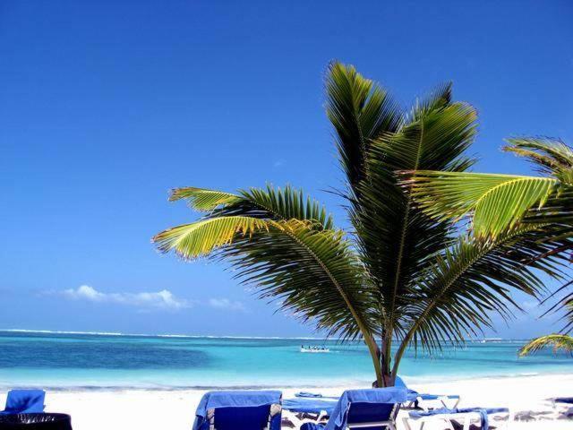 Hotel Larimar Beach Punta Cana Exteriér fotografie